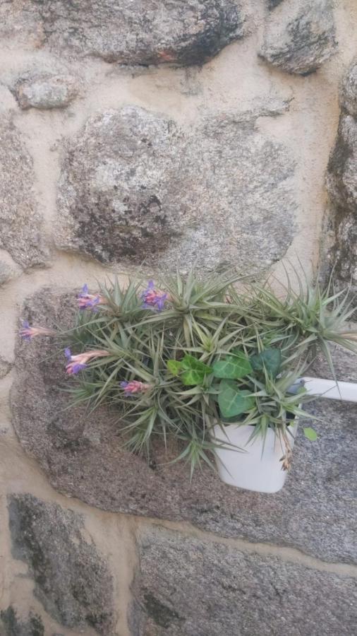Ferienwohnung Vivienda Con Terraza En Playas De Baiona Exterior foto